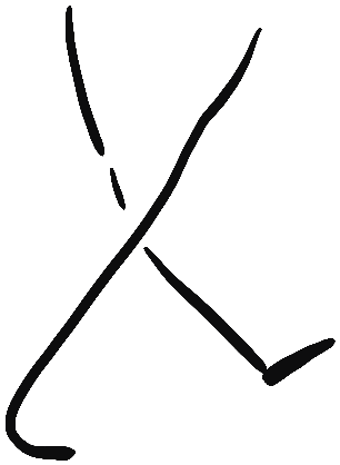 Image of the occurrence